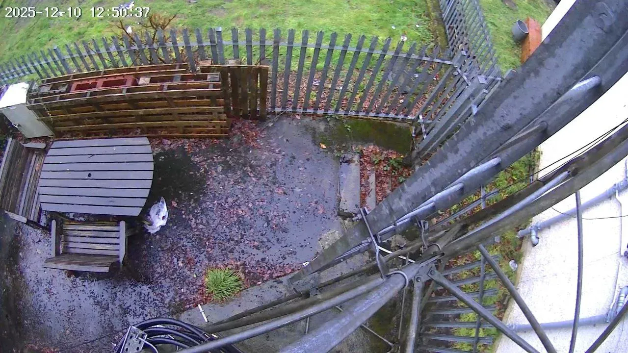 Secure compound with palisade fencing - clear space available for equipment shelters